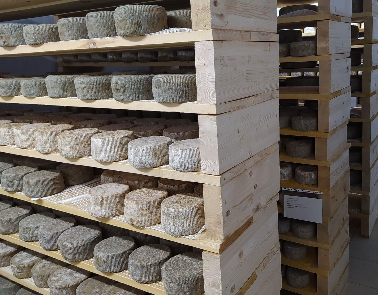 Procés d'elaboració dels formatges