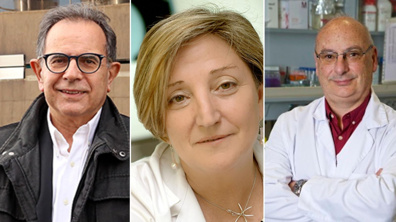 Avelino Corma, Anna Lluch i Francis Mojica, seleccionats per a rebre la distinció per la Defensa dels Drets i Llibertats Constitucionals Avelino Corma, Ana Lluch i Francis Mójica, seleccionats per rebre la distinció per la Defensa dels Drets i Llibertats Constitucionals