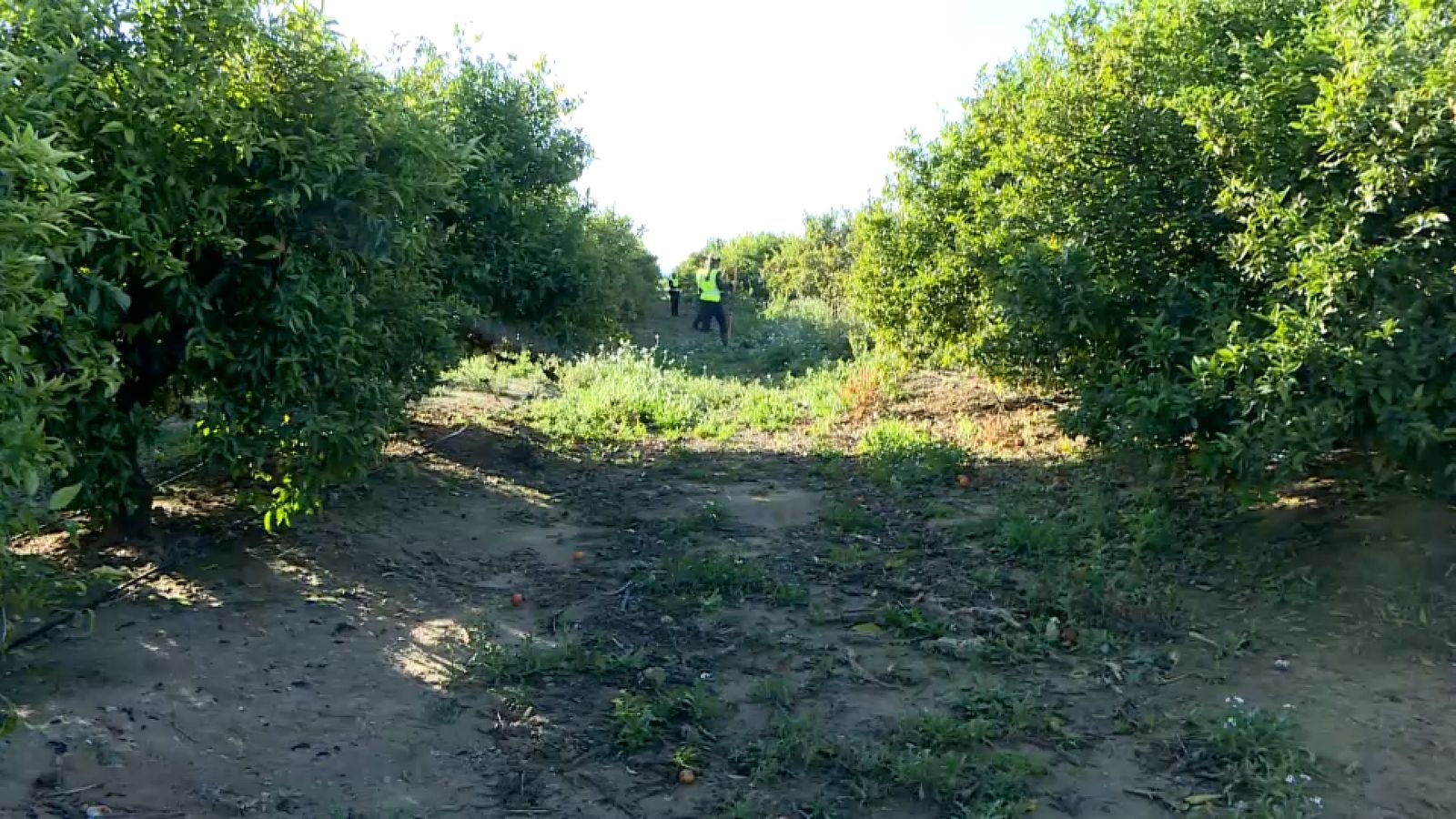 L'equip de recerca de la Guàrdia Civil, este divendres