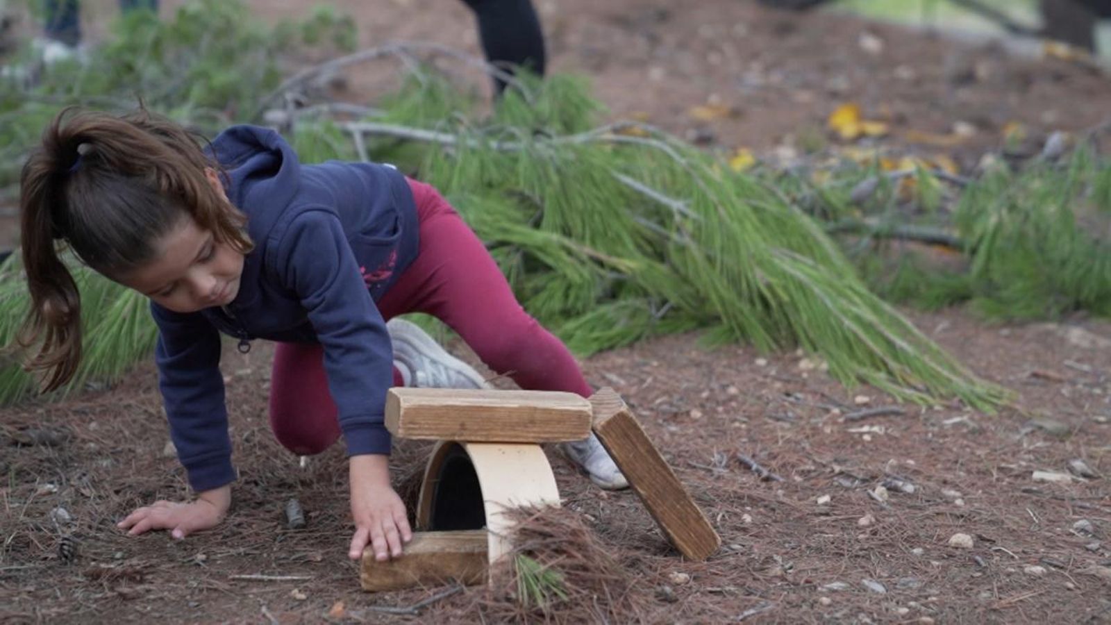 El joc lliure, en perill d’extinció