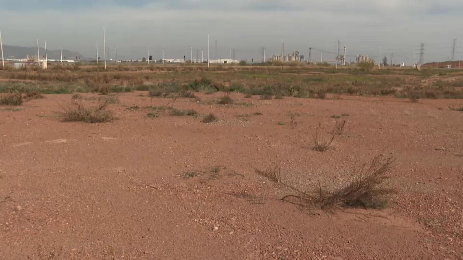 Terrenys del Parc Sagunt II on s'alcarà la nova gigafactoria de bateries de Volkswagen