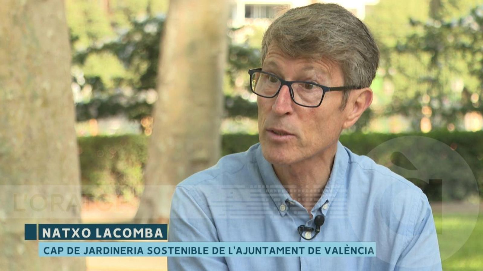 Les directius i estratègies de València Capital Verda Europea 2024