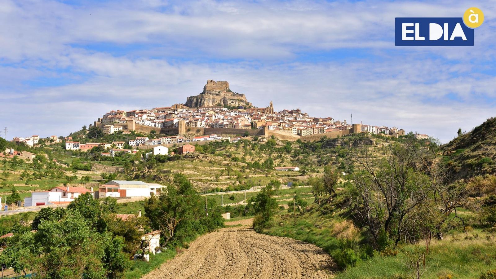 Morella