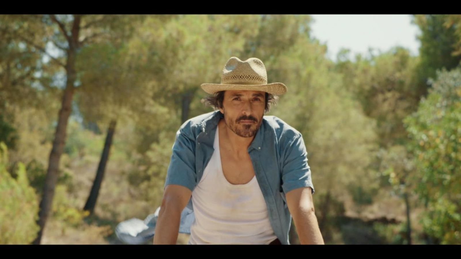 Els verbs velaritzats circulen