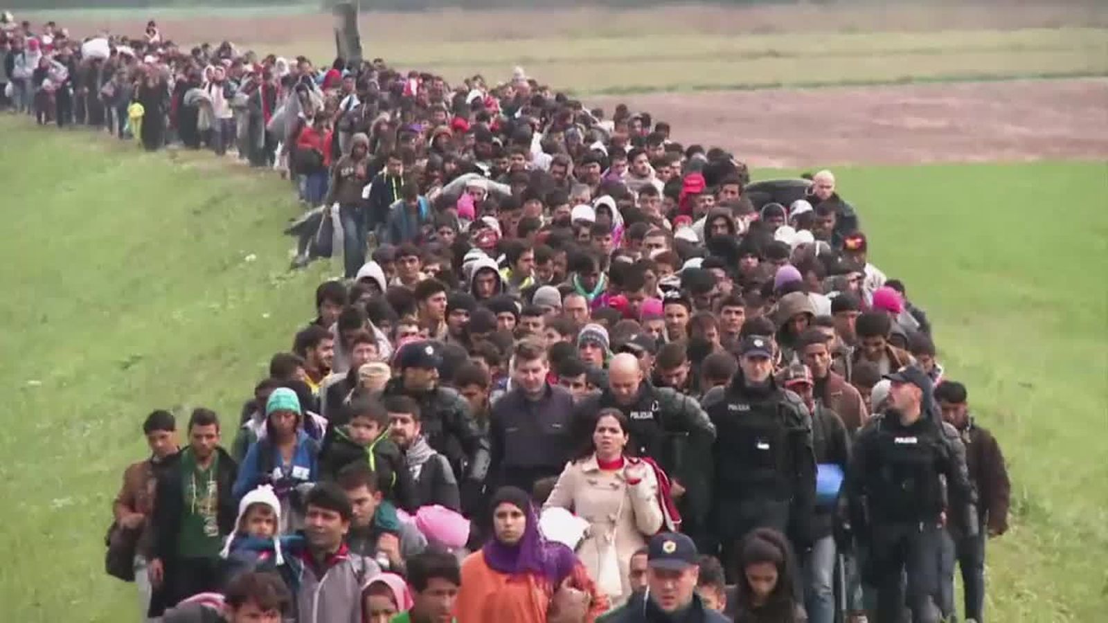 Contingut extra | El trajecte migratori