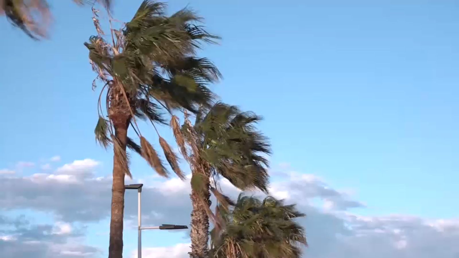 Ratxes de vent al Baix Maestrat