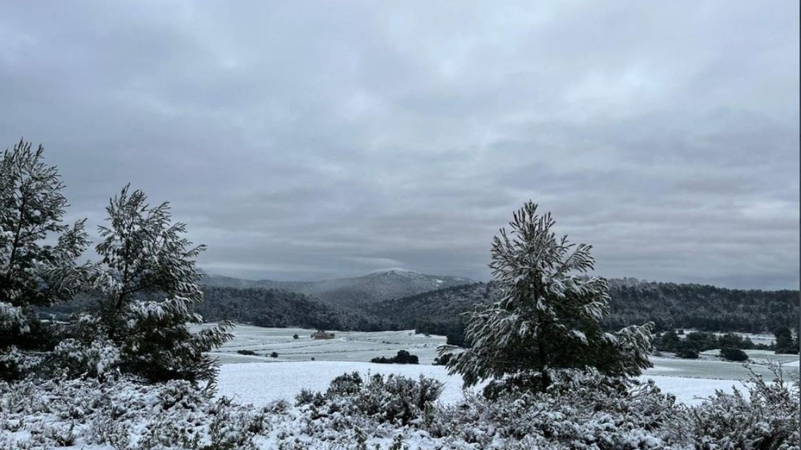 El port d'Onil, nevat en ple abril