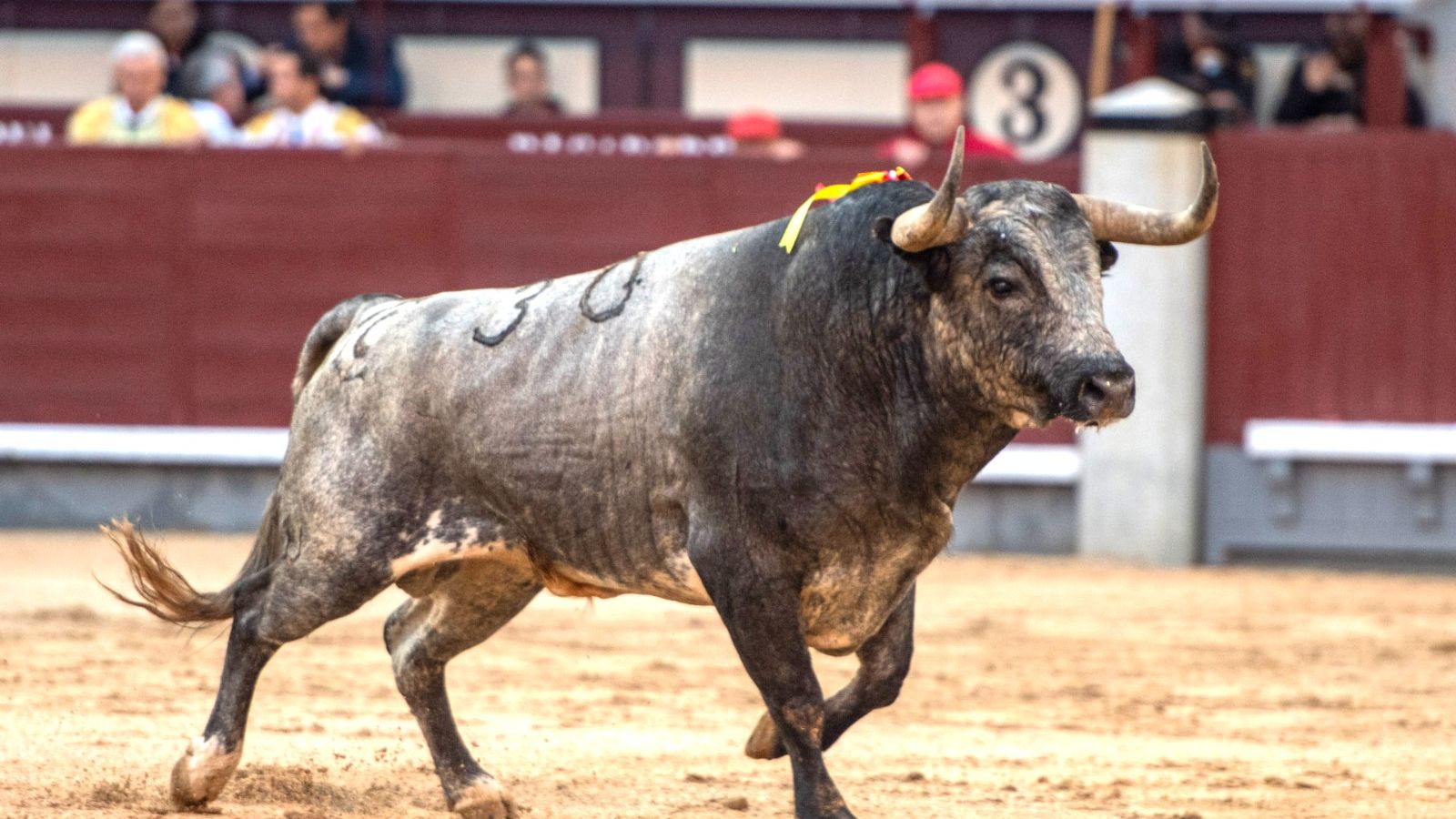 Bou de La Quinta
