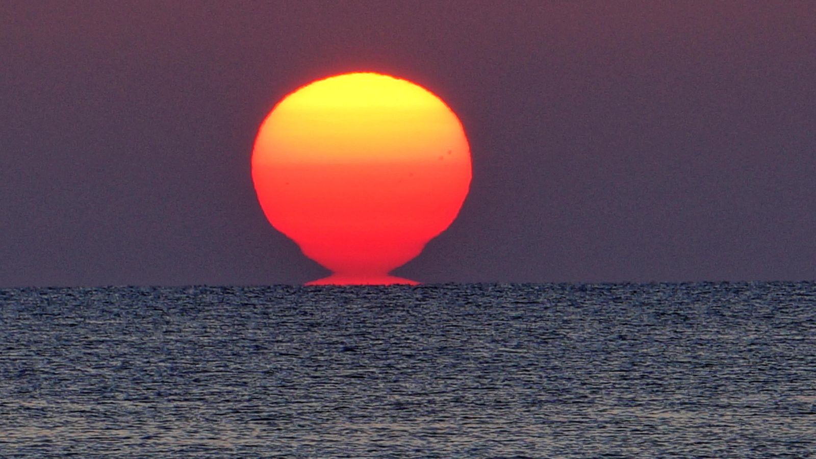 TAVERNES DE LA VALLDIGNA, LA SAFOR
