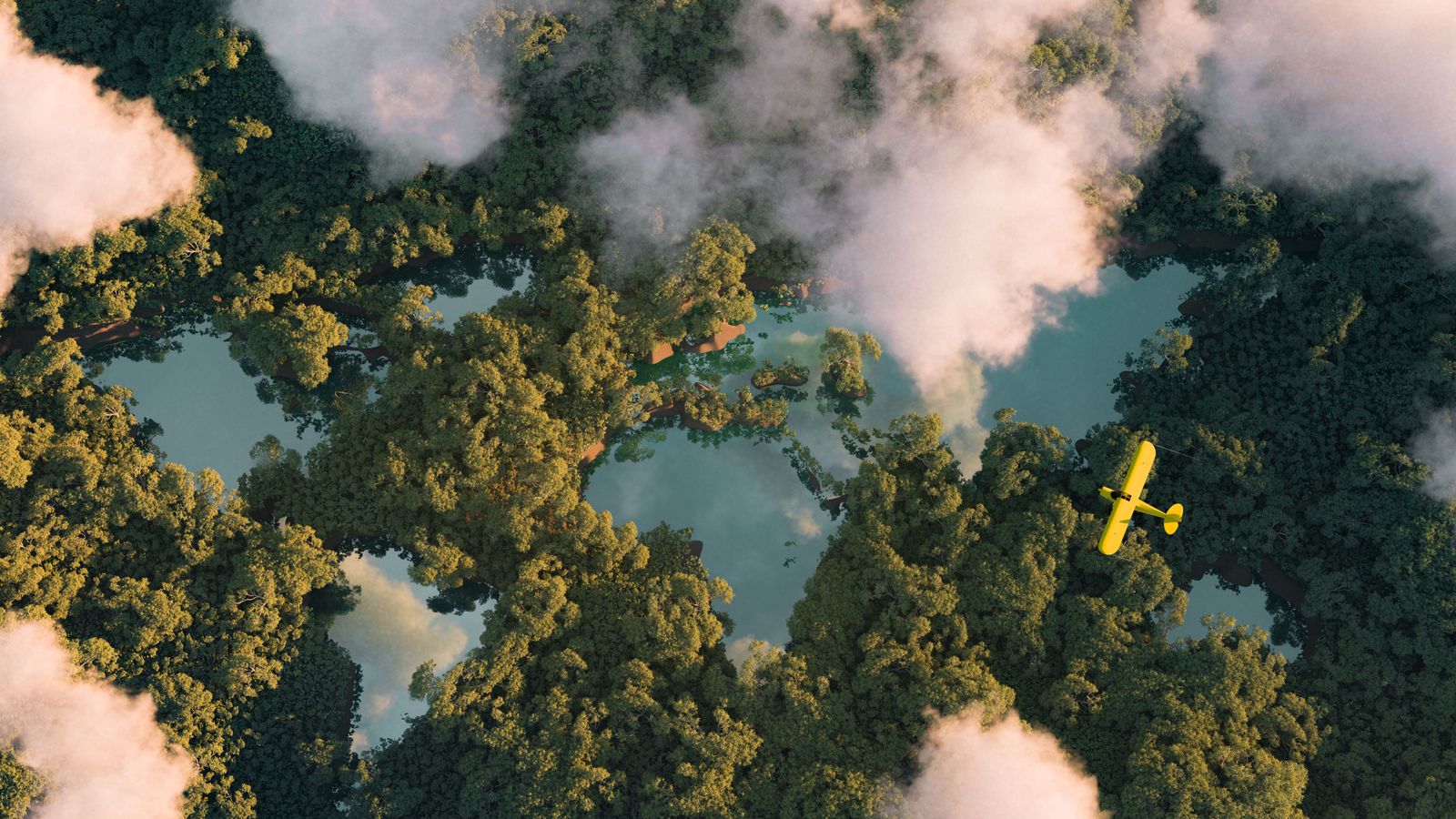 Vista aèria d'una densa vegetació tropical