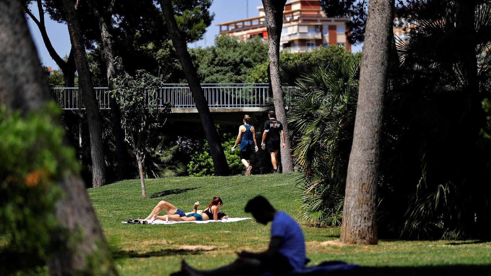 Diverses persones es relaxen en el jardí del Túria, a València