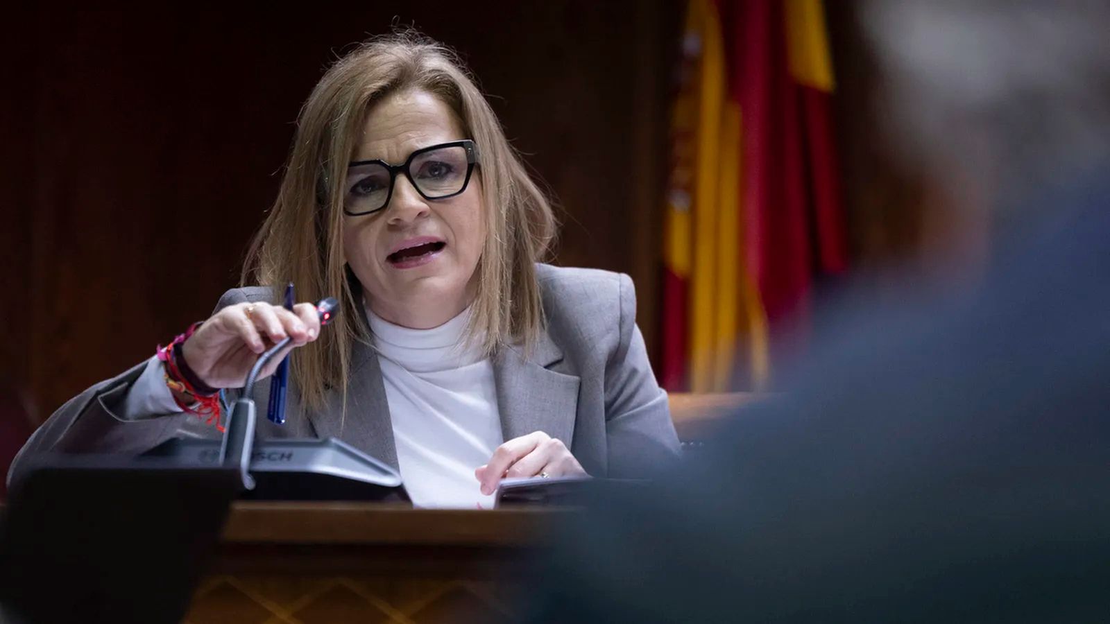 Bernabé, este dimarts en la comissió de la dana del Senat