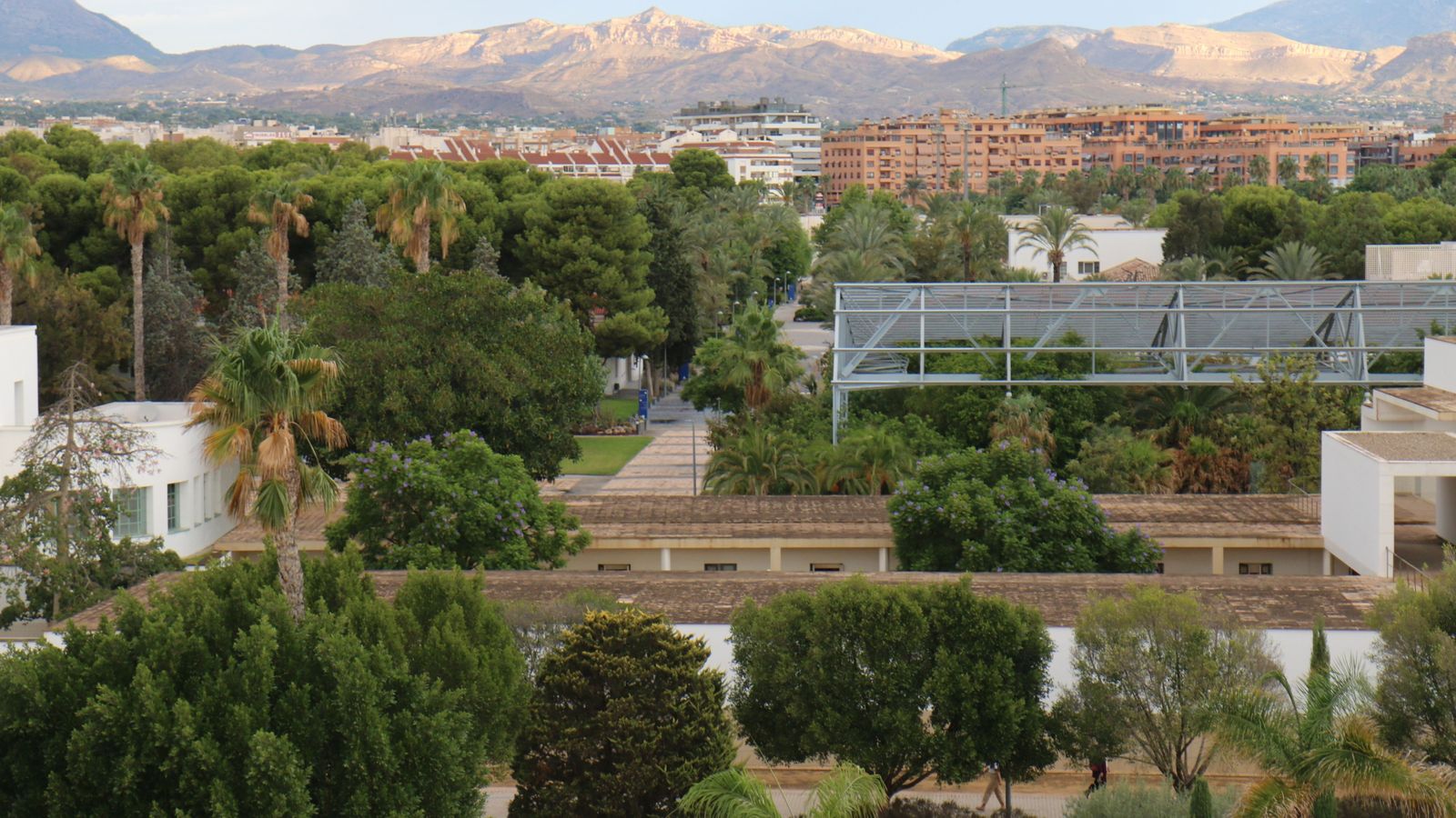 Campus universitat de Sant Vicent del Raspeig, on podrà continuar impartint-se Medicina, vist des de la coberta de la biblioteca