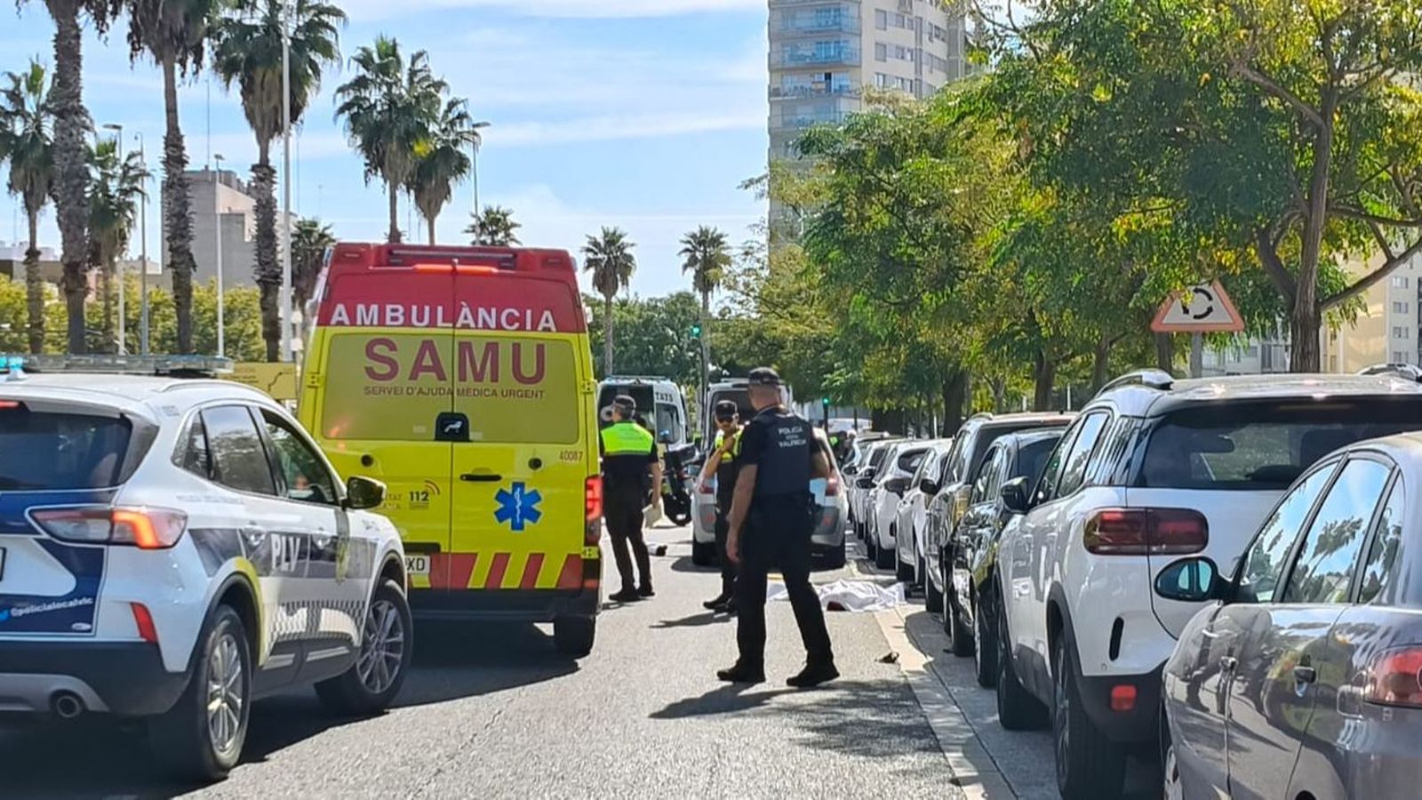 En imatge, el dispositiu de seguretat i sanitari desplegat per l'atropellament