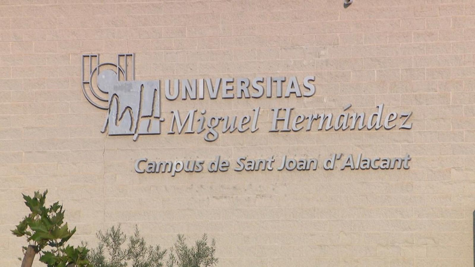 La Miguel Hernández d’Elx i la Universitat d'Alacant, en pugna per les titulacions de salut des de fa 25 anys