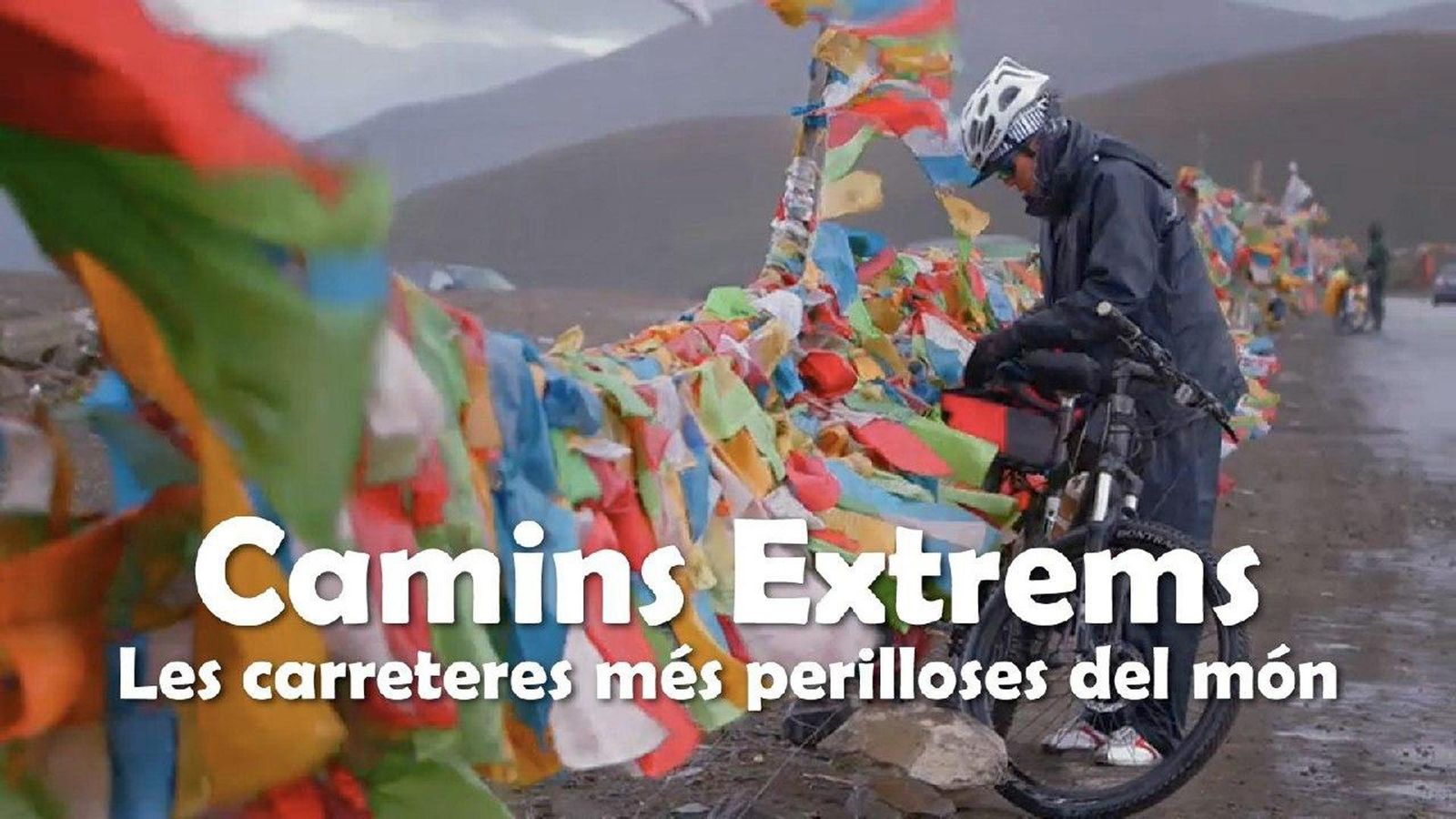 Logo Camins extrems