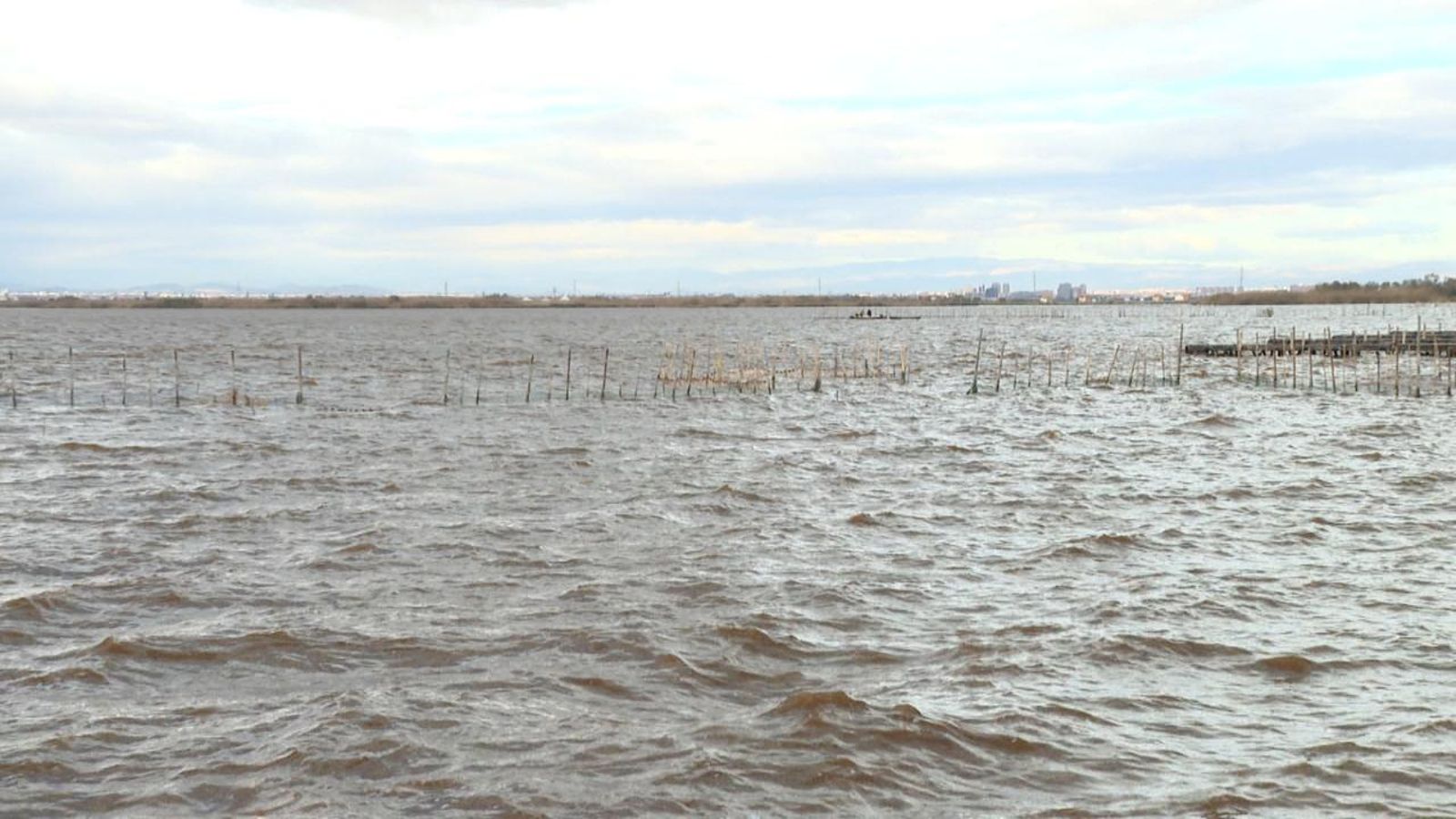 Fa mesos que l'aigua de l'Albufera és de color marró