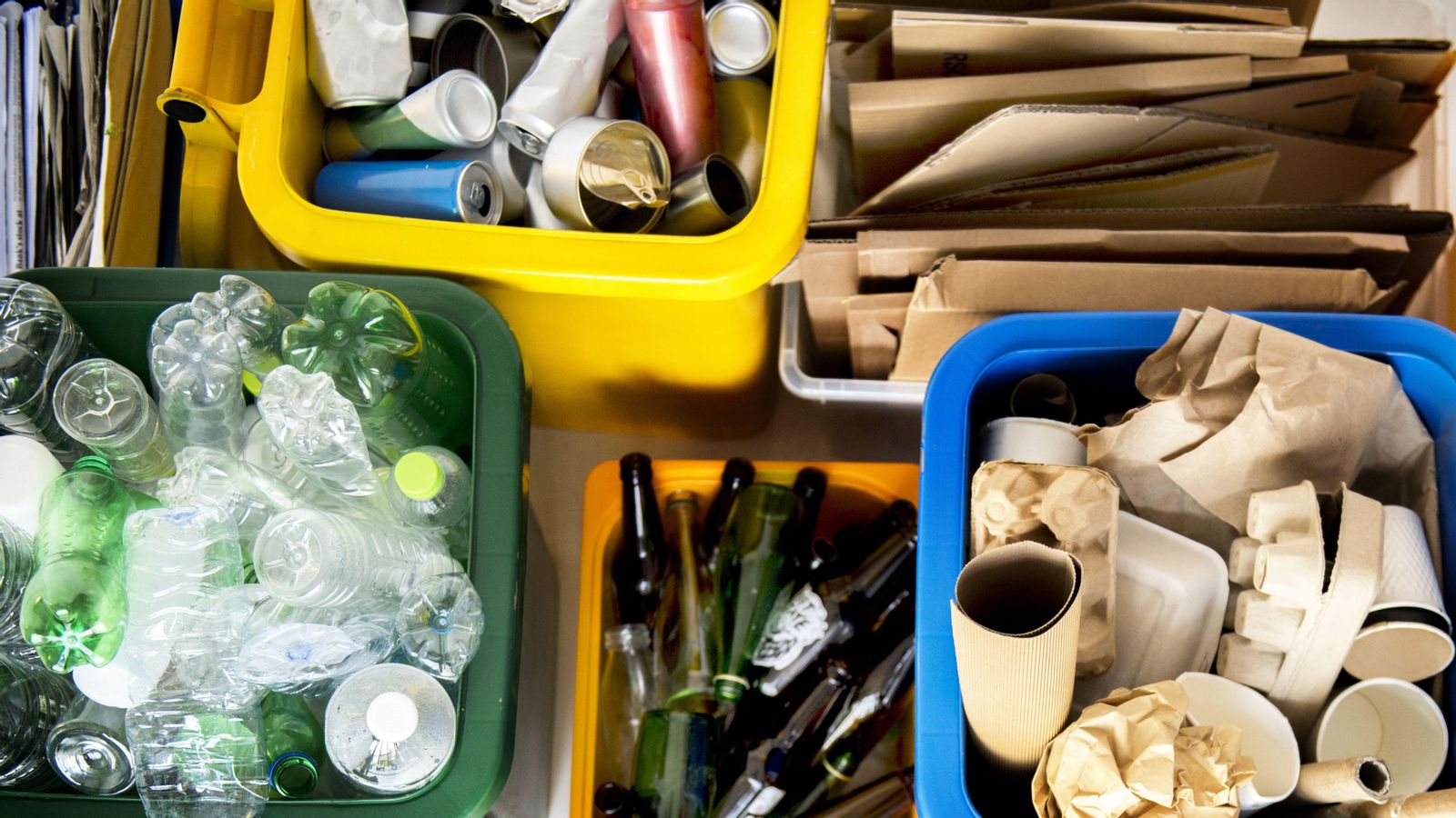 Diferents envasos en els contenidors adequats
