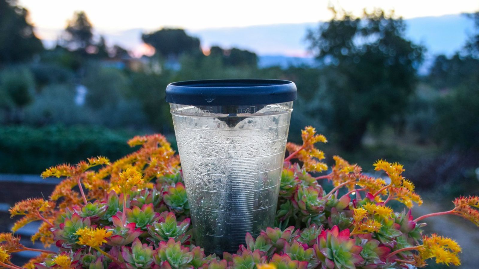 Un pluviòmetre mesura la quantiat de pluja caiguda a l'Olleria