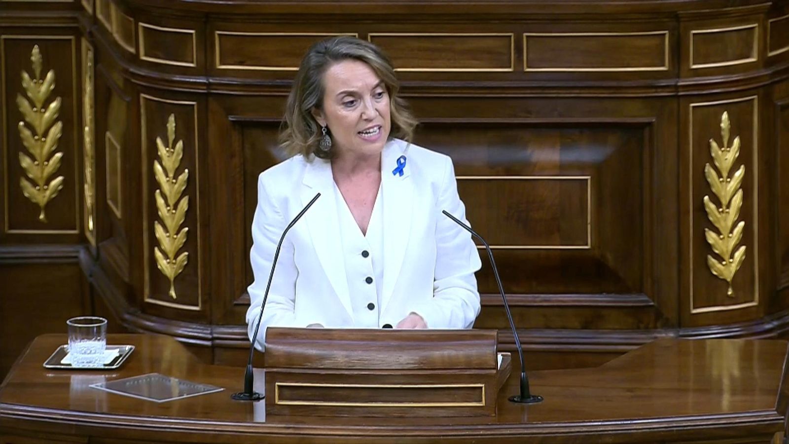 Gamarra, aquest dimats, al Congrés