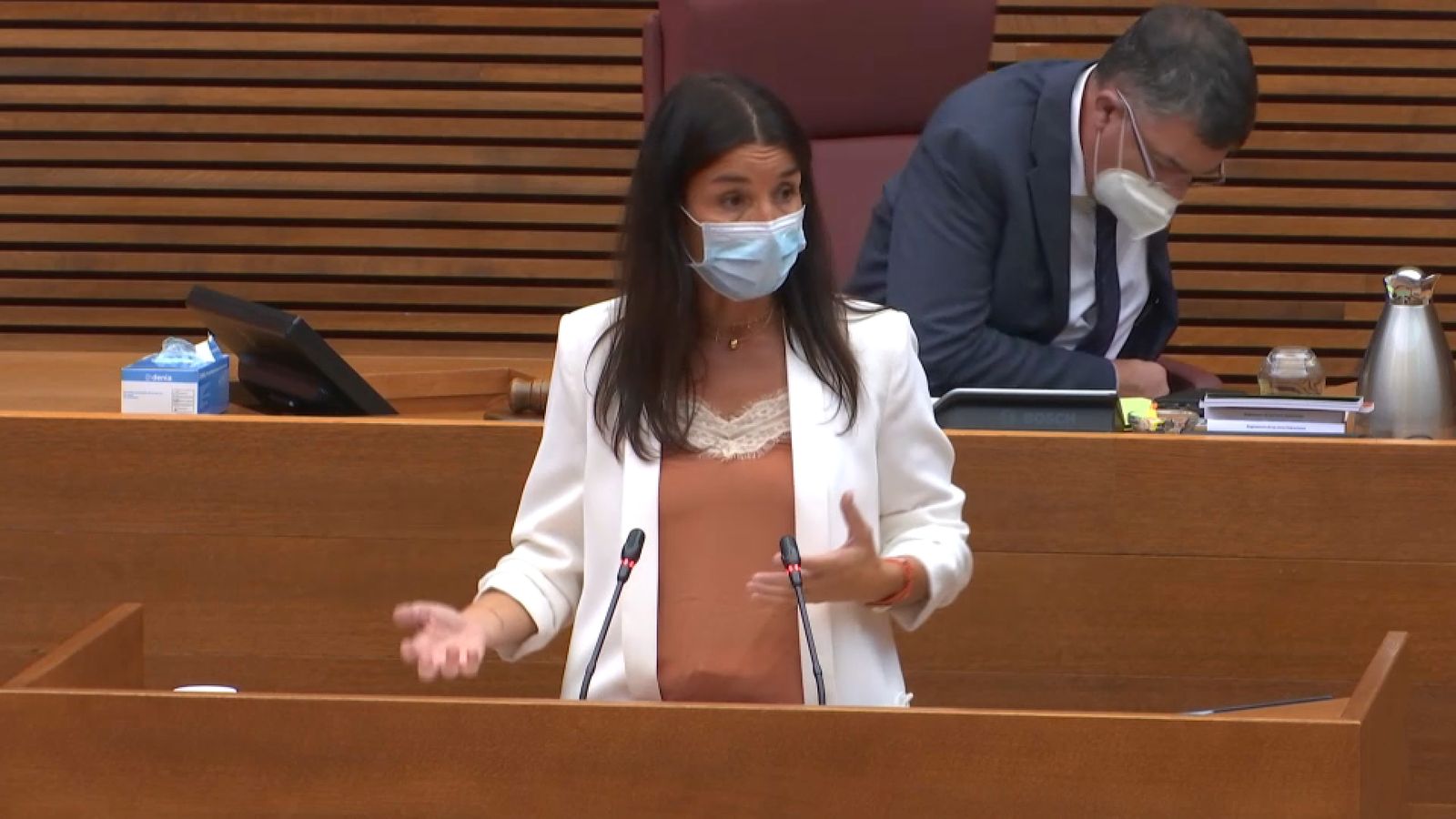 La síndica de Ciutadans en les Corts Ruth Merino