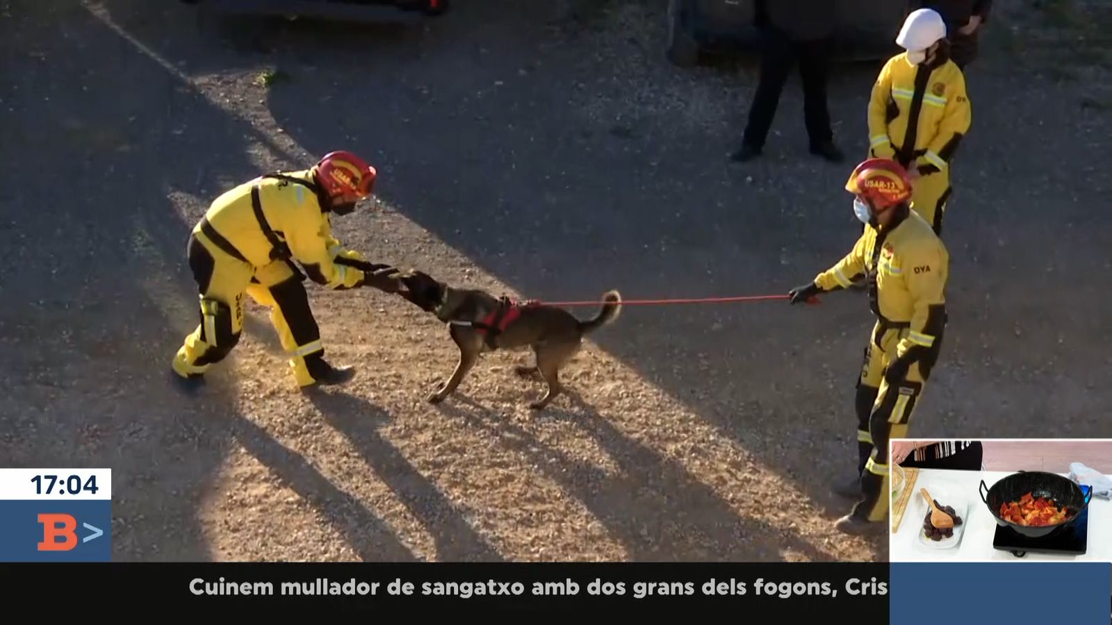 01.02.2022 | Herois de quatre potes