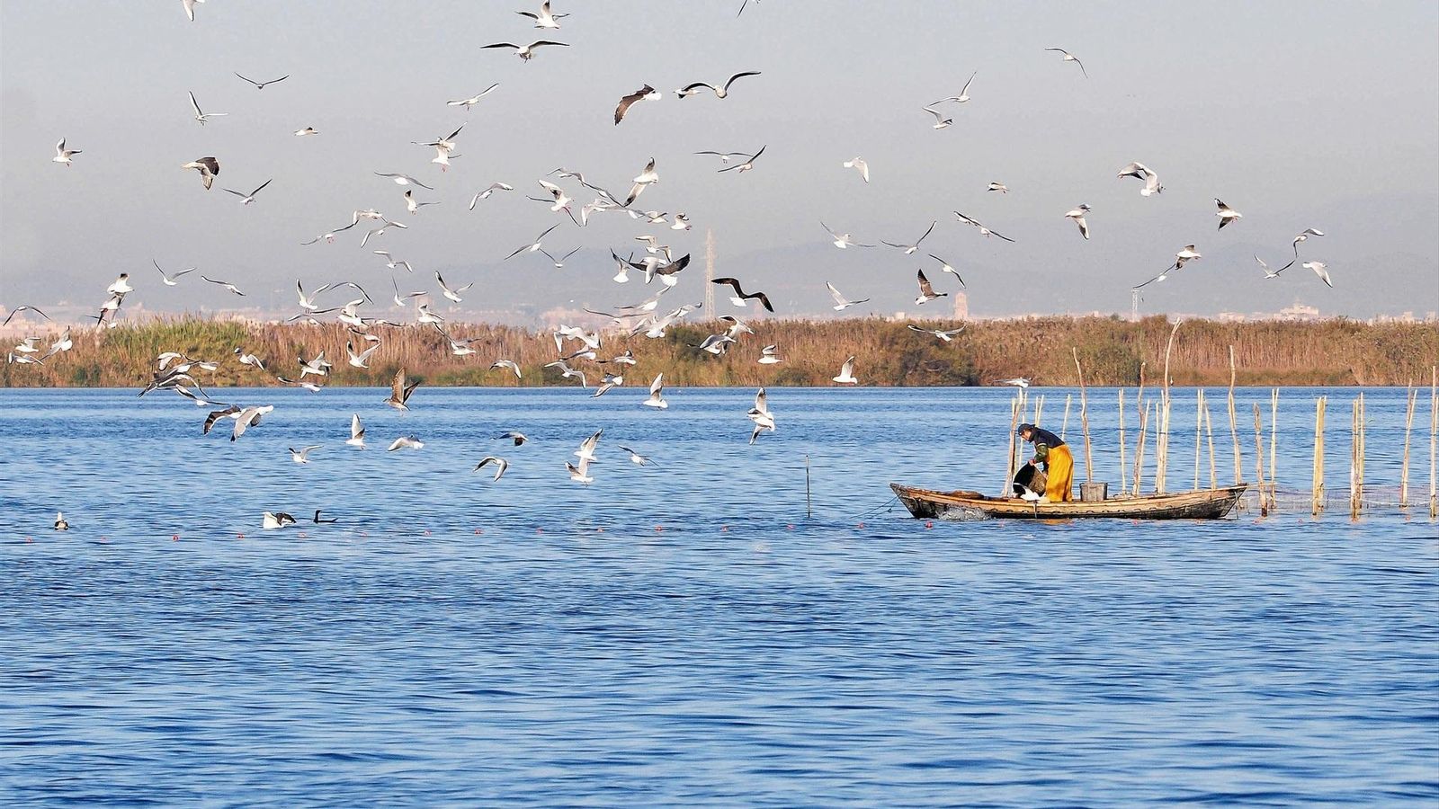 Embarcació a l'Albufera (arxiu)