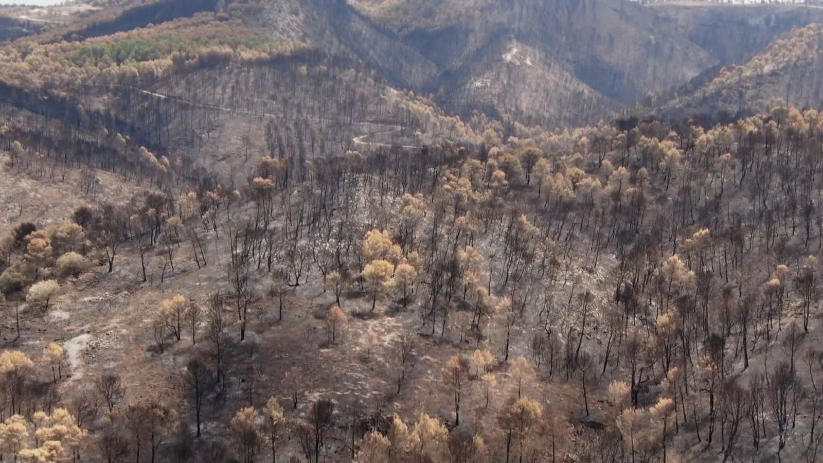 Incendi a La Vall d'Ebo al 2022
