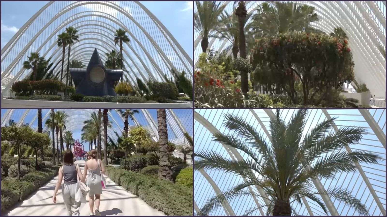 L'Umbracle de la Ciutat de les Arts i les Ciències