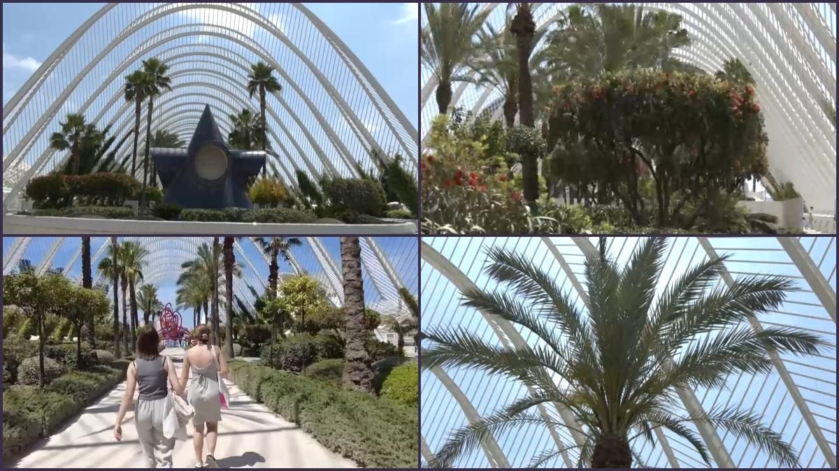 L'Umbracle de la Ciutat de les Arts i les Ciències L'Umbracle de la Ciutat de les Arts i les Ciències