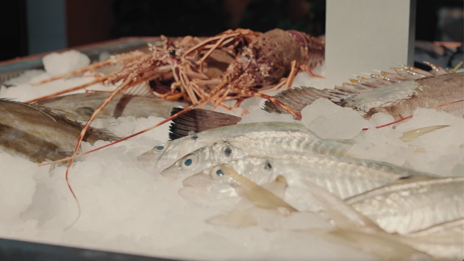 Els set secrets del peix a la brassa