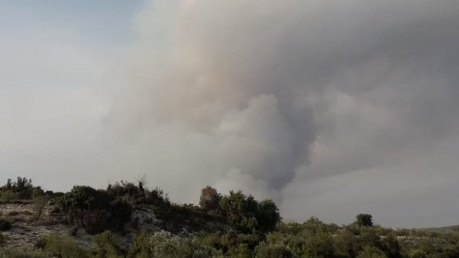 03.09.2018 | Causes dels incendis