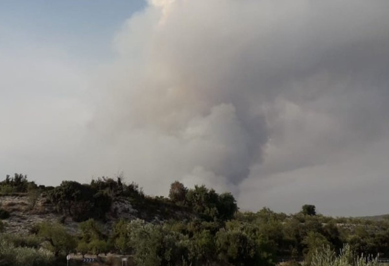03.09.2018 | Causes dels incendis