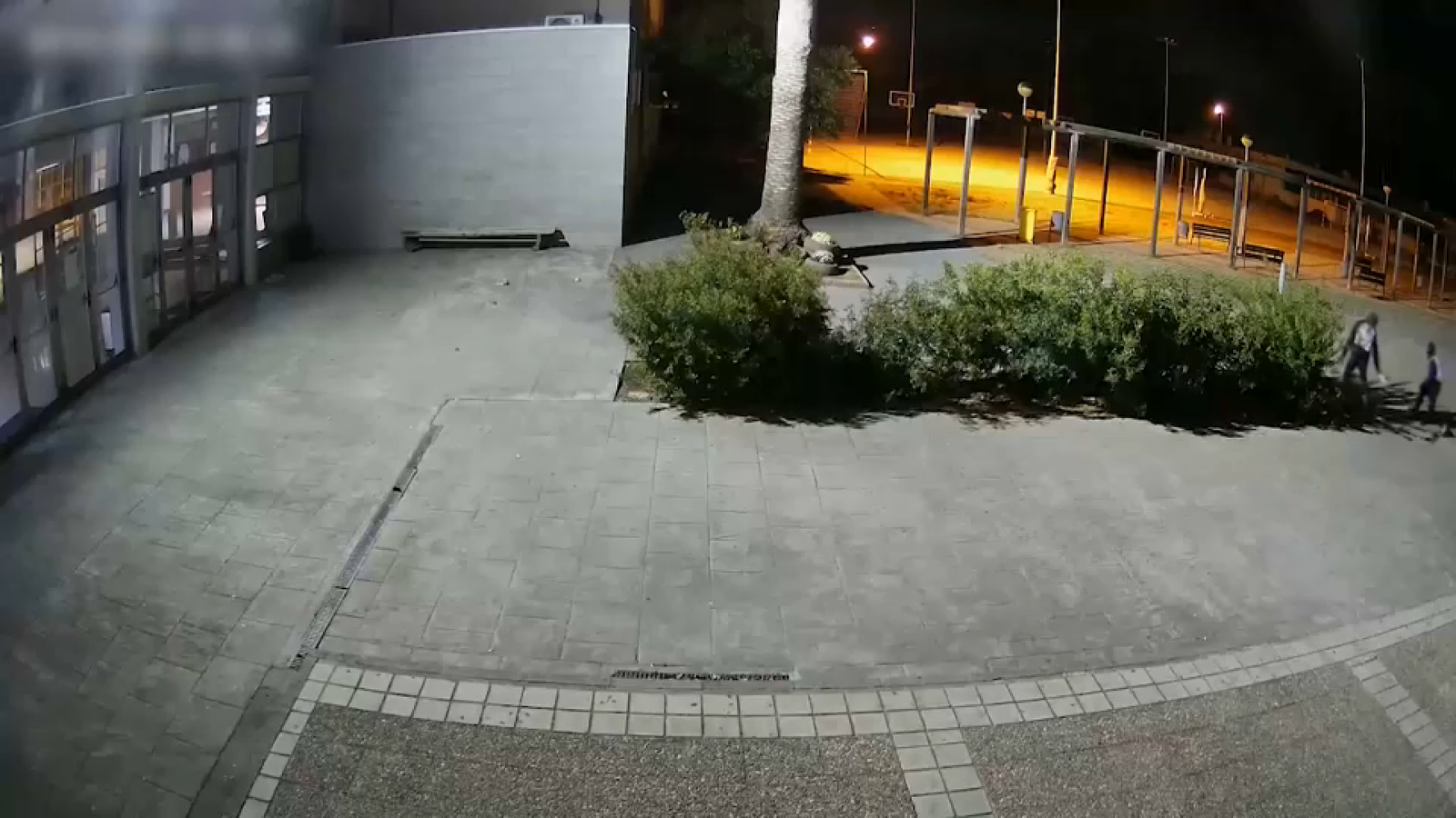 Imatge de la càmera de seguretat dels detinguts amagats darrere un arbust davant de l'IES de Sueca