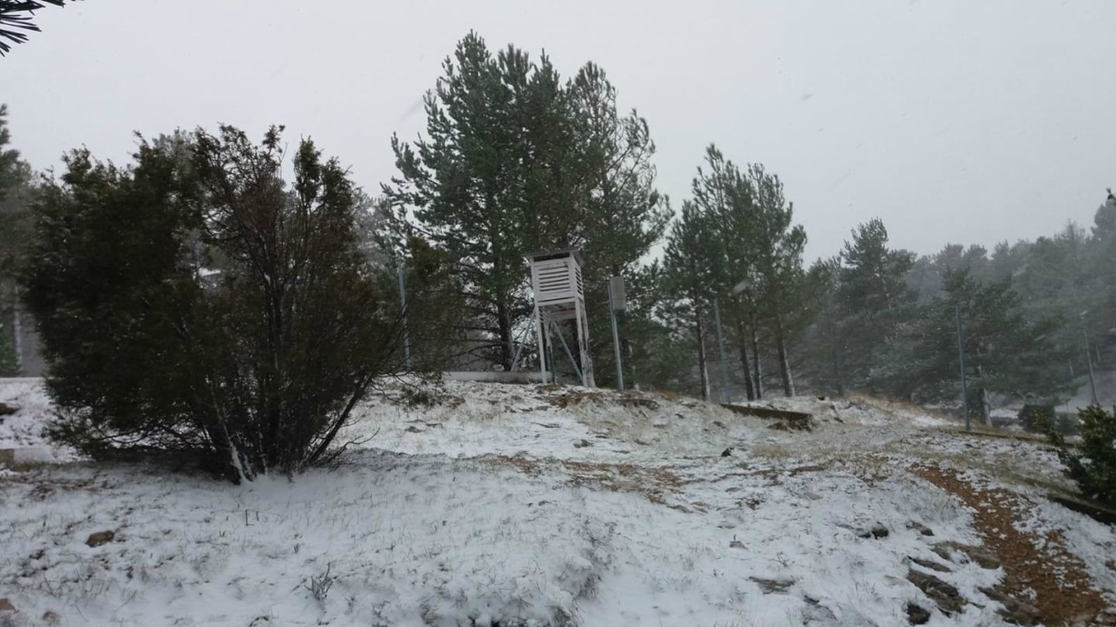 Imatge de la neu que va caure a Fredes el dimecres 11 d'abril. Font: José M. Bel