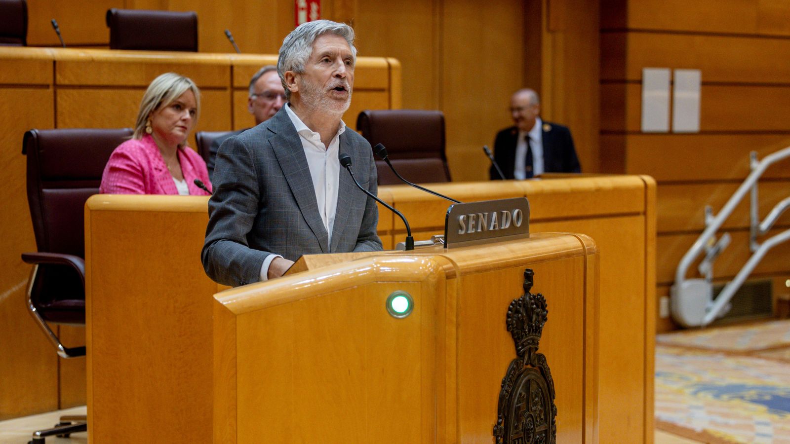 El ministre Marlaska intervé en un ple del Senat, en una imatge d'arxiu