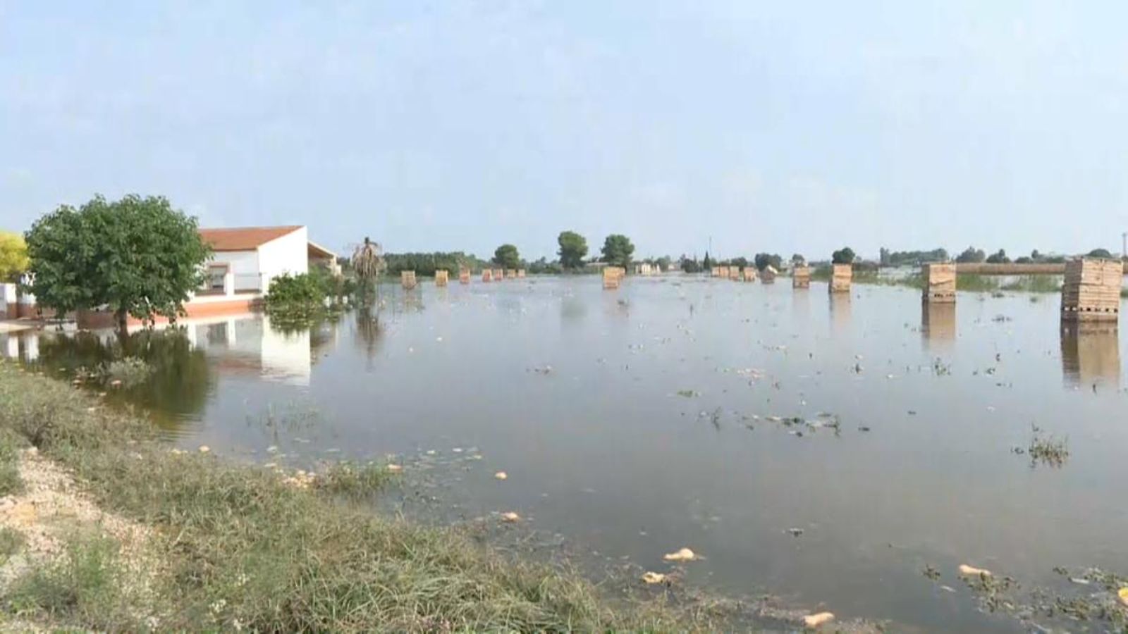 Pluja de crítiques per la gestió de la Confederació Hidrogràfica del Segura davant les inundacions