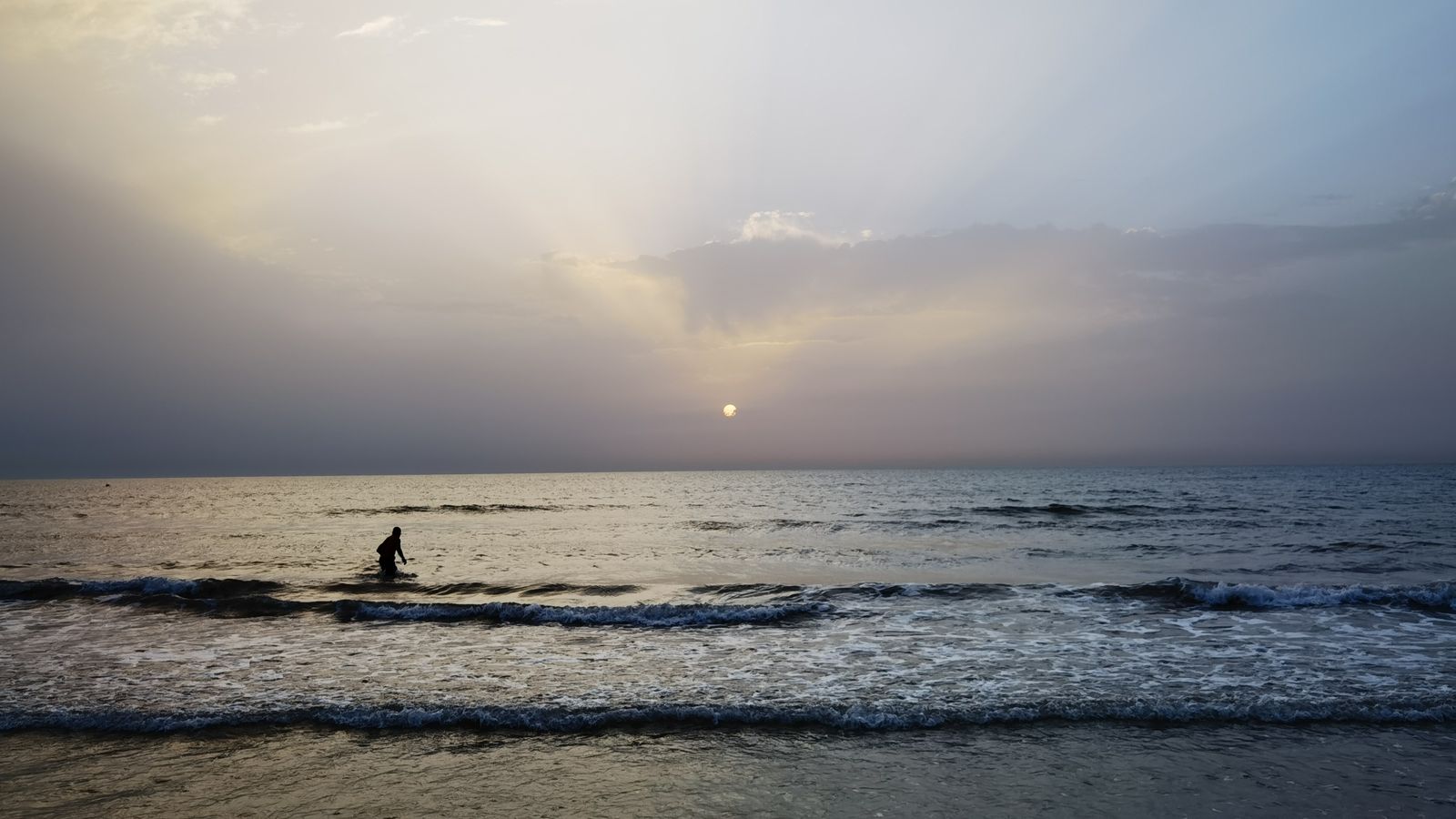 La Malva-rosa, València