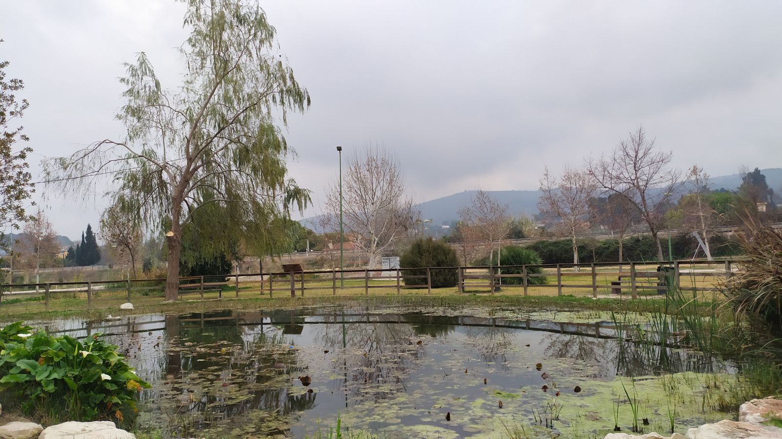 ONTINYENT, LA VALL D'ALBAIDA