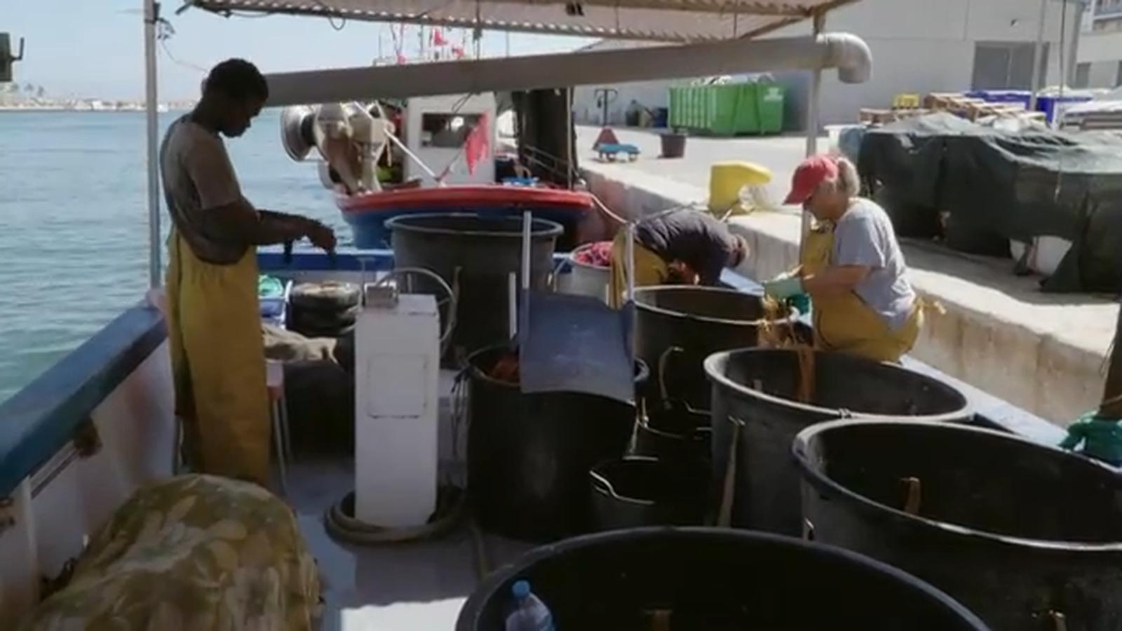 De mar i bancal | Maquinària aliada
