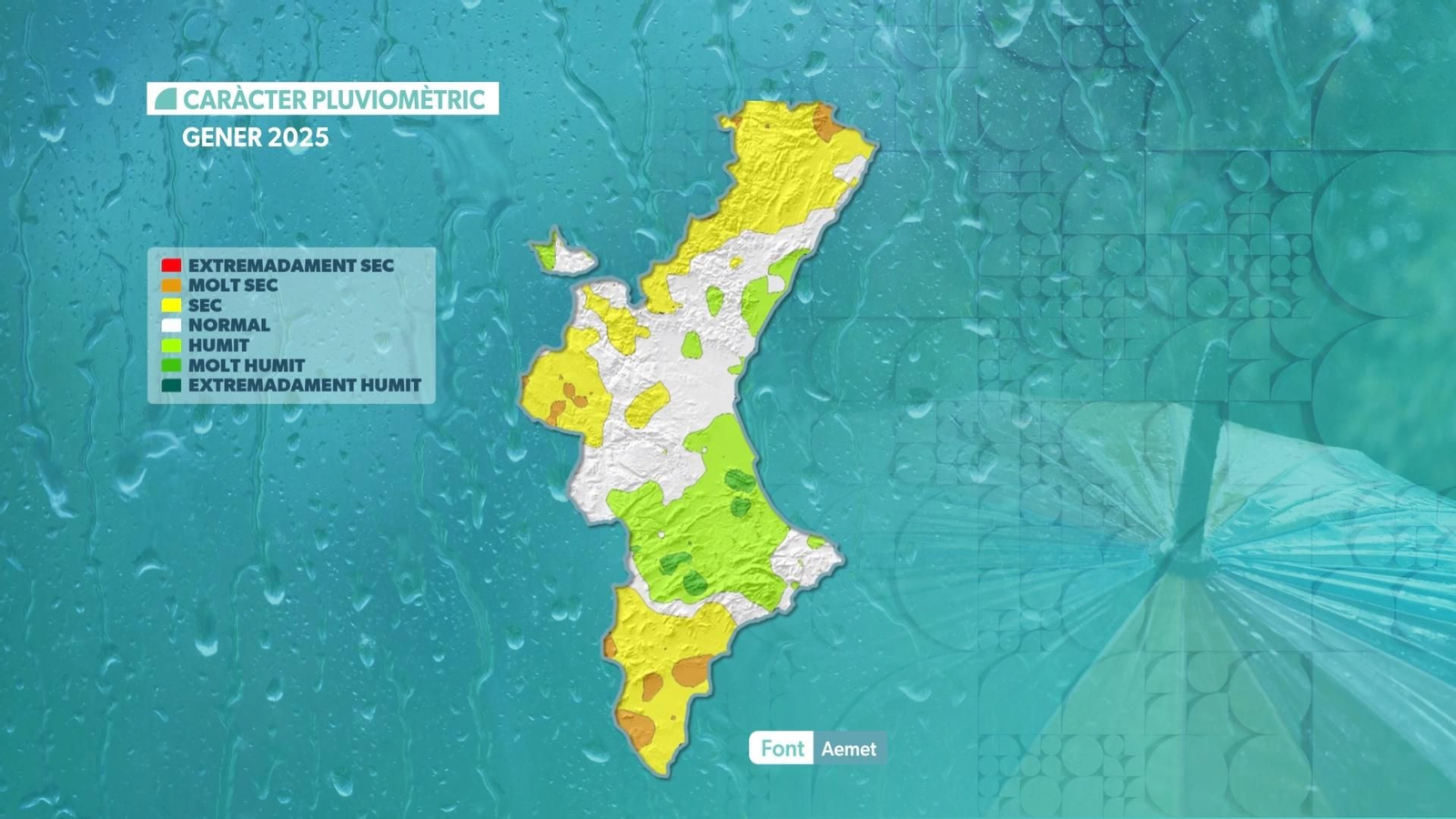 CARÀCTER PLUVIOMÈTRIC  DE LA PLUJA GENER 2025