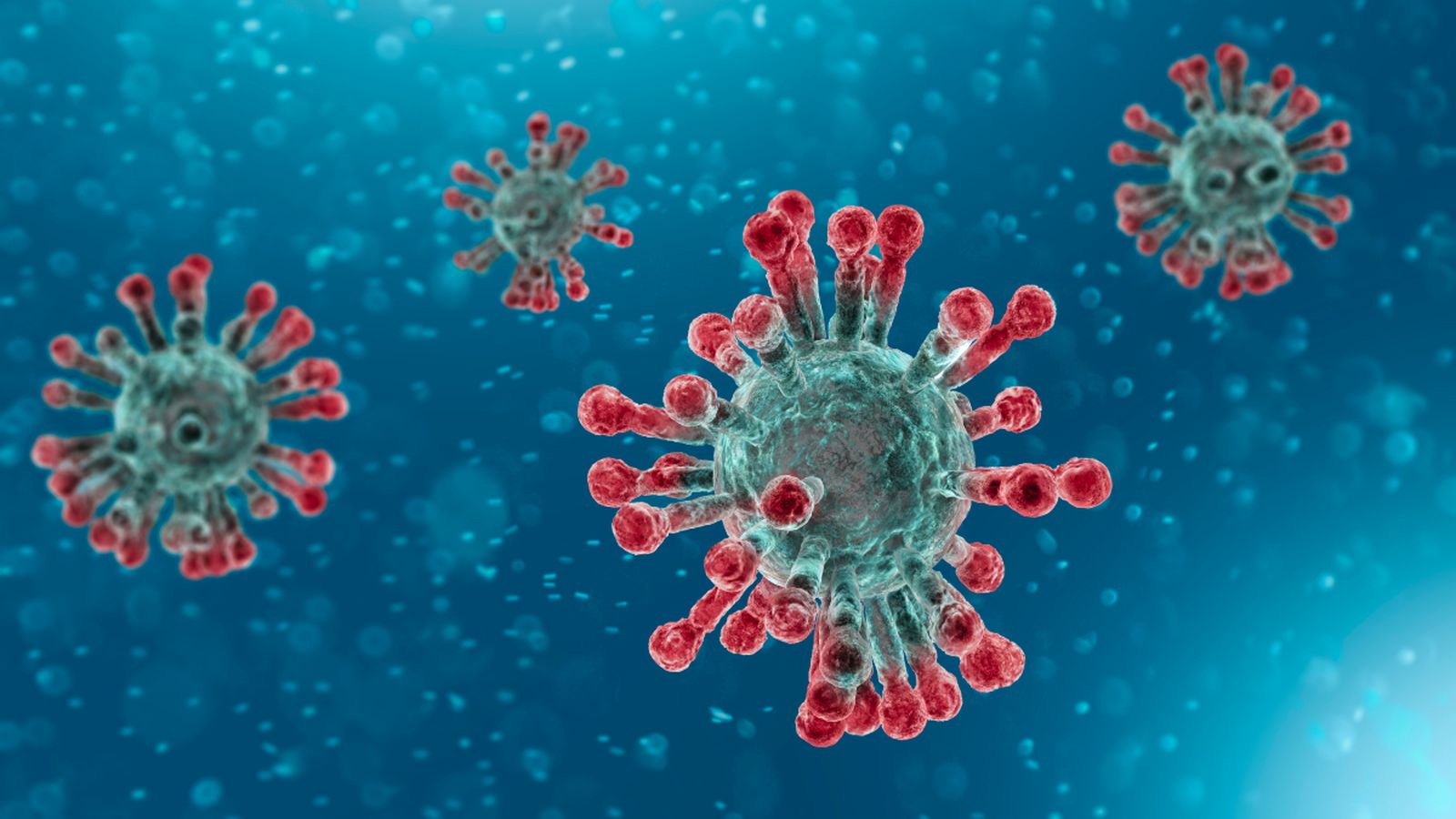 Vista microscòpica del coronavirus renderitzada en 3D