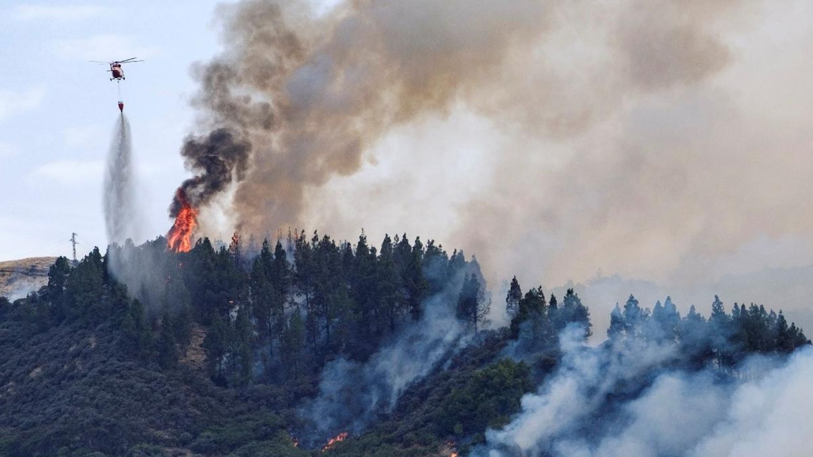 L’incendi forestal declarat aquest dissabte a Gran Canària