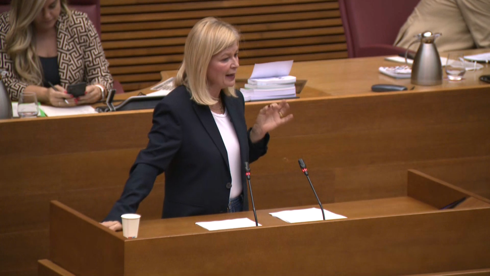 La consellera de Justícia, Gabriela Bravo, durant la seua compareixença per presentar els pressupostos de 2023 per al seu departament