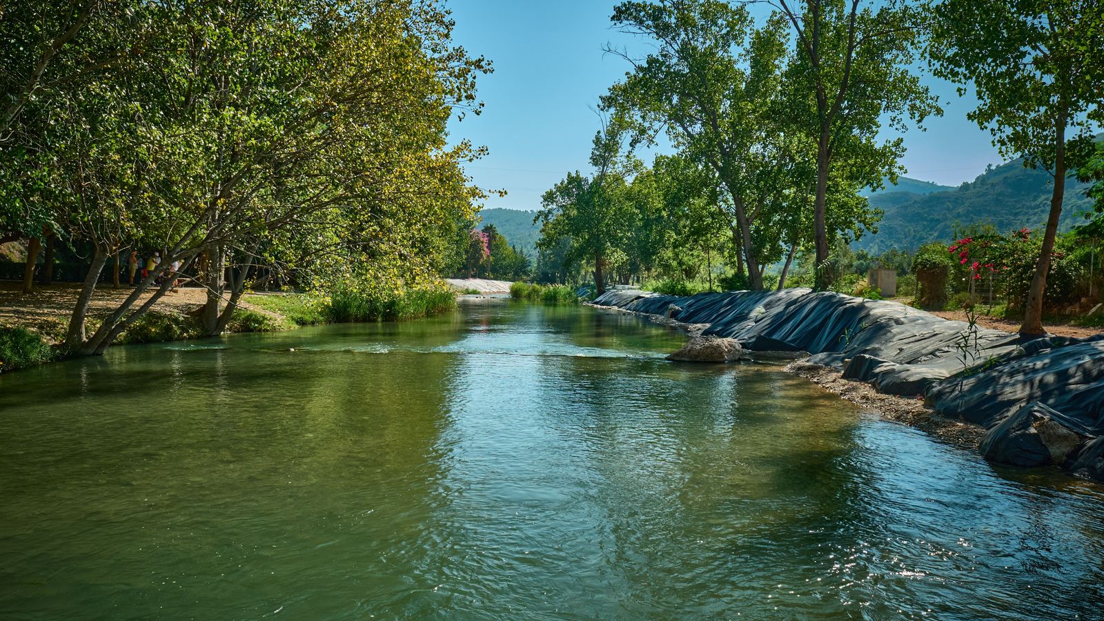El Túria, al seu pas per Gestalgar, en una imatge d'arxiu