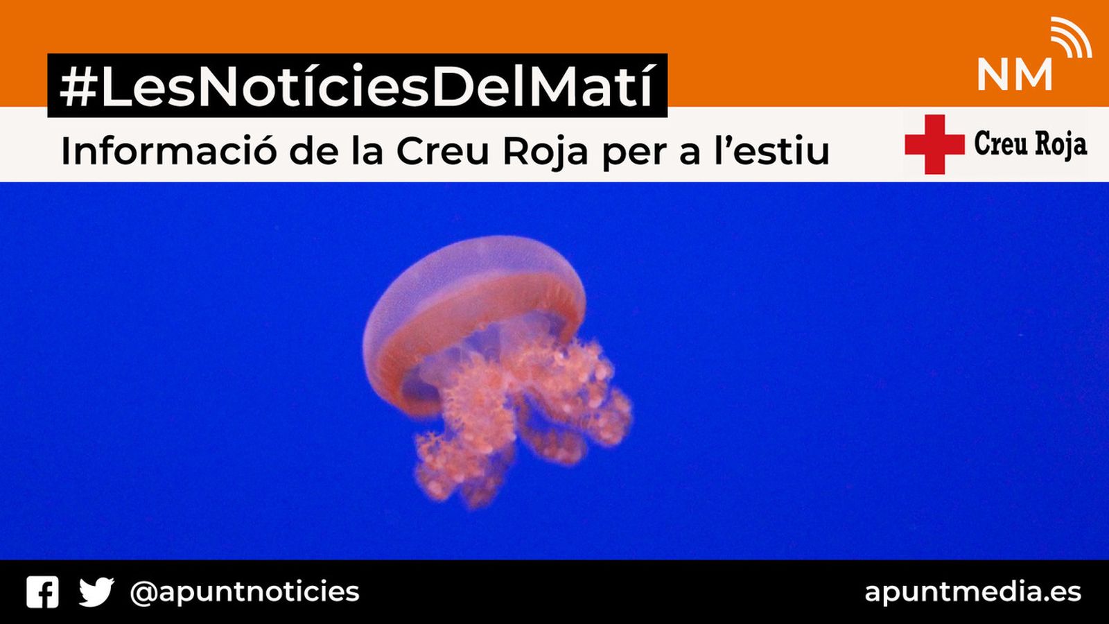 16.07.2018 | Informació de la Creu Roja per a l\'estiu