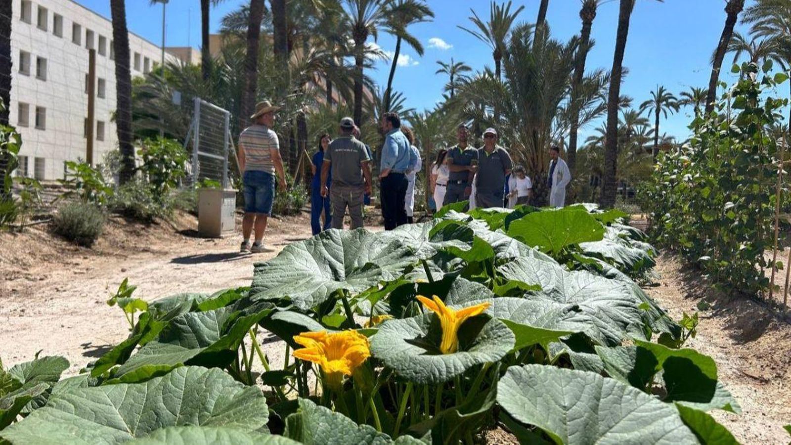 Una de les parcel·les que l'Ajuntament cedirà per a les unitats de Salut Mental