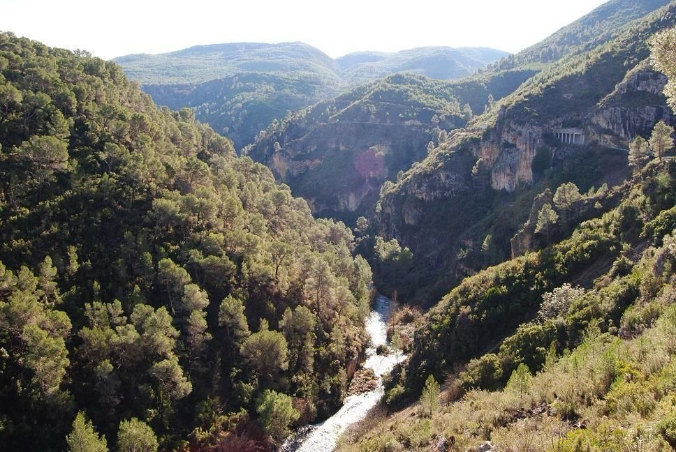 Amb l'arribada de l'estiu augmenta el risc d'incendis forestals