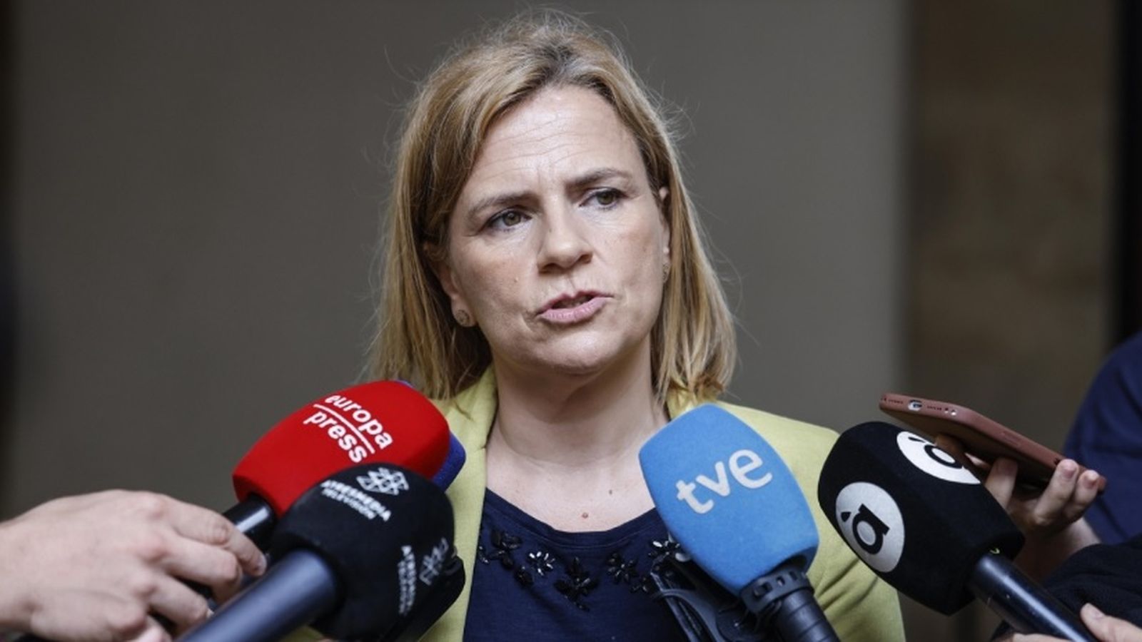 La delegada del govern a la Comunitat Valenciana, Pilar Bernabé, en una imatge d'arxiu