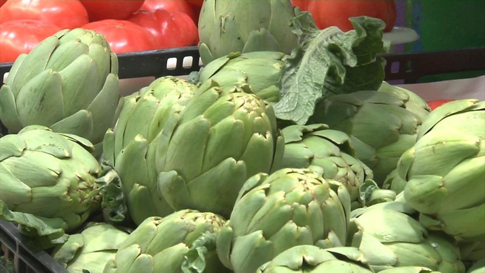 La calor retarda la campanya de la carxofa de Benicarló amb denominació d'origen